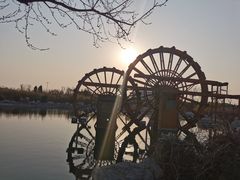-卤阳湖国家湿地公园