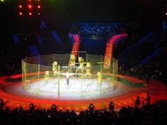 -珠海横琴长隆《卡卡虎奇遇记》