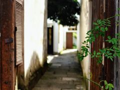 -小河直街历史文化街区