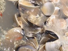 招牌卜卜贝-拾下卜卜贝•海鲜火锅