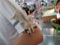 -Moni星球萌宠·小马宝莉·灵蛇·高端高阶全萌宠互动体验俱乐部(红豆国际广场店)