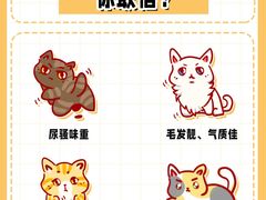 -美联众合动物医院·24h转诊中心