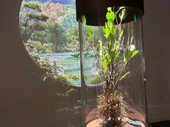 -中国湿地博物馆