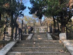 -灵谷景区