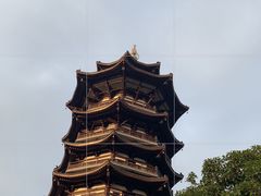-洋湖国家湿地公园