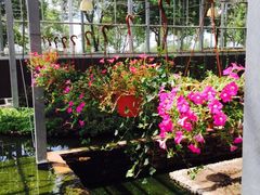 -上海多利农业发展有限公司