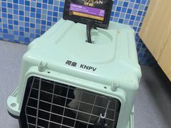 -芭比堂动物医院·心脏科·老年急重症·夜诊·吉雅分院
