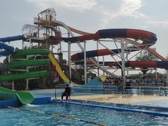 -秦皇岛乐岛海洋王国