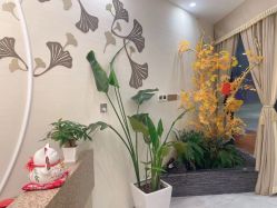 点击看大图 -芳朵美容养生SPA