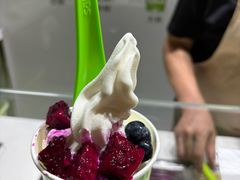 -Salud撒露欧洲冻酸奶(北苑上品店)