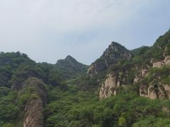 -大岭沟猕猴桃谷风景区