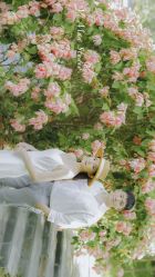 -巴黎婚纱摄影工作室