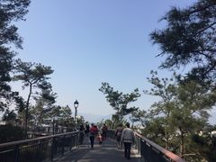 -金鸡山公园