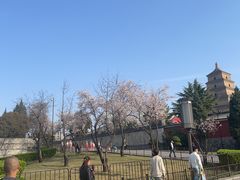 -大慈恩寺(大雁塔)