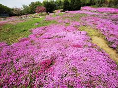 -棒棰岛宾馆景区