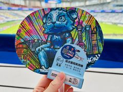 -八万人体育馆-外场足球场