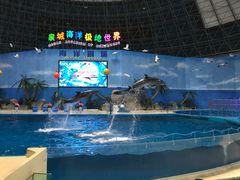 -泉城欧乐堡海洋极地世界