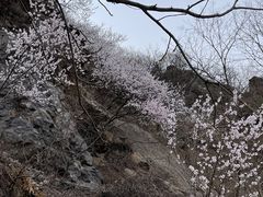 -妙峰山风景名胜区