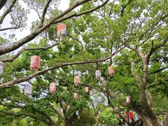 -江心屿景区