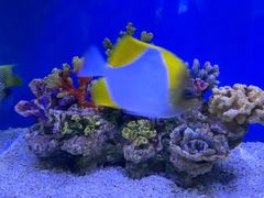 -上海海昌海洋公园