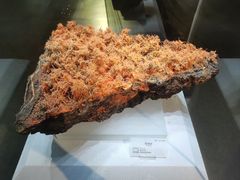 -湖南省地质博物馆