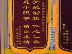 -米苏动物医院·犬猫专科·骨科外科内窥镜