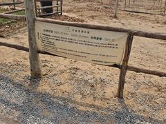 -林栖谷森林康养度假区