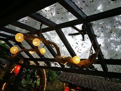 -五邑人家(江门店)