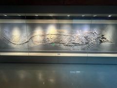 -安徽省地质博物馆