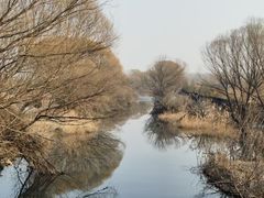 -东郊湿地公园