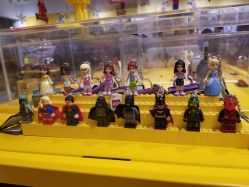 -乐高授权专卖店(华采天地店)