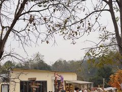 -HERRE·FARM 赫尔露营农场·团建聚会包场