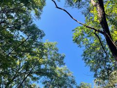 -北京西山国家森林公园