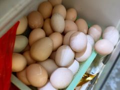 -楠溪江风景名胜区