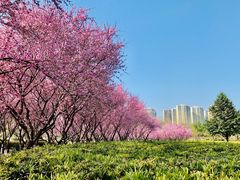 -白塘生态植物园