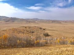 -塞罕坝国家级自然保护区