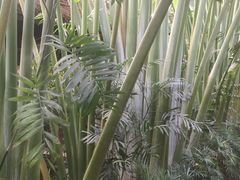-龙达温泉生态城