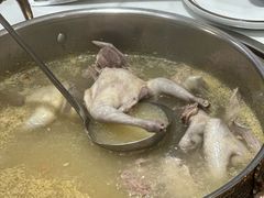 五指毛桃药膳鸽-鸽鸟轩(石岐店)