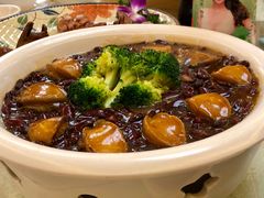 腰豆焖鲍鱼-东豪园林海鲜酒家(南港路辅路店)