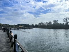 -溱湖国家湿地公园