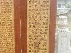 -司徒庙
