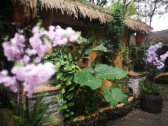 -园林美食城·本土农家菜(杨和镇店)