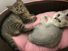 -畜牧兽医站(共江路店)