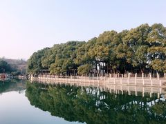 -白马涧龙池景区