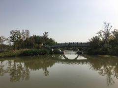 -上海长兴岛郊野公园