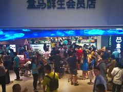 -盒马鲜生(大成店)