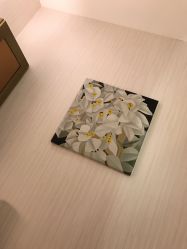 -必瘦站