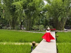 -明仕田园