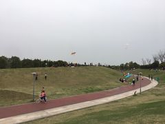 -滆湖低碳生态公园