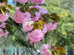 -河南省黄河迎宾馆